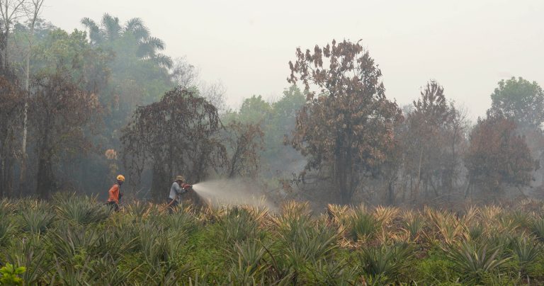 Kabut Asap dan Karhutla Kalbar, Munzalan Hadirkan Bantuan