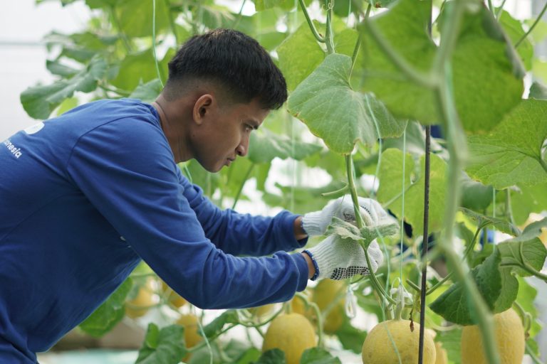 Ketika Zakat “Ditanam”, Harapan dan Kemandirian Ikut Bertumbuh